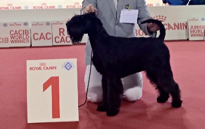 de laouen ki - Jamie Lee de Laouen Ki, championne du Monde jeune'15