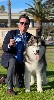  - Ventura dogshows California