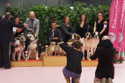 de laouen ki - Exposition de Bourg en Bresse'14