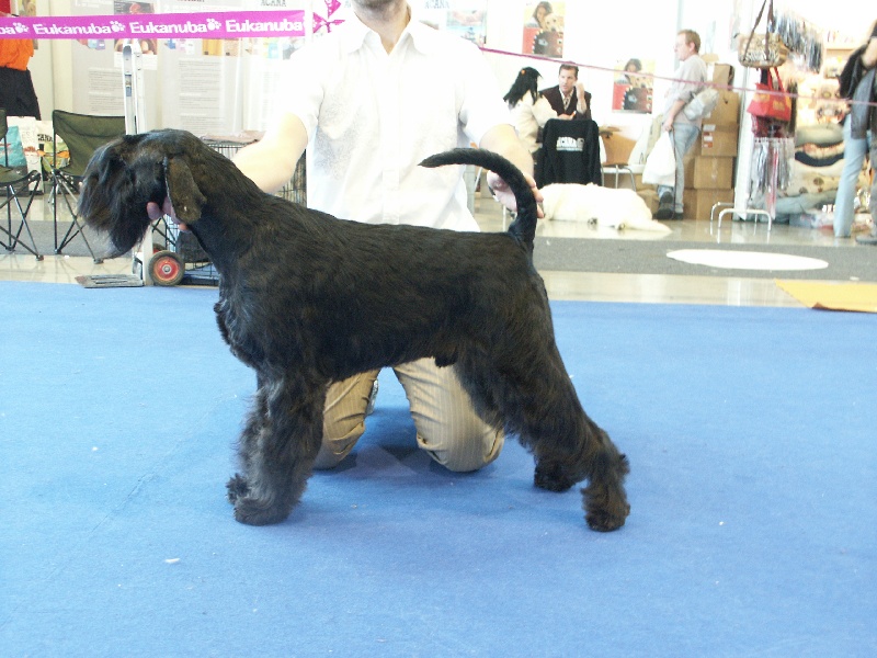 CH. V'max de laouen ki