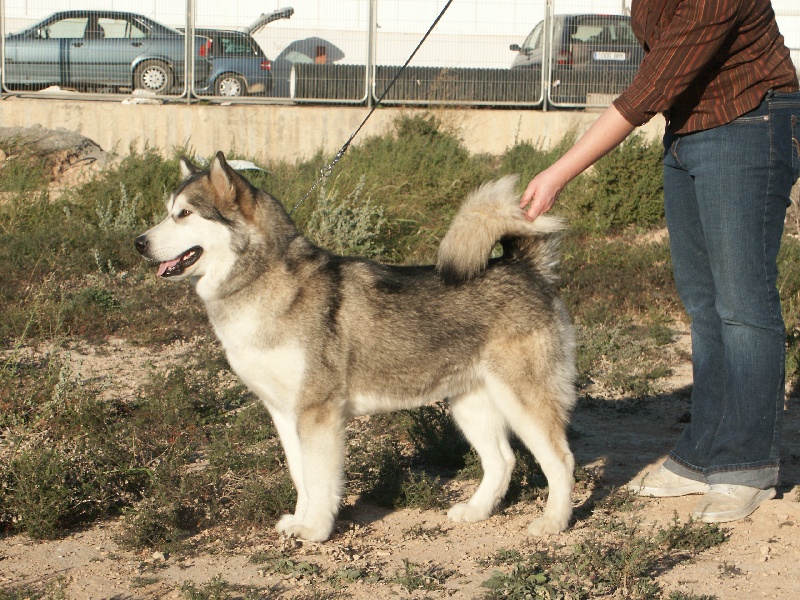 CH. Be my lake's beach of selawik river